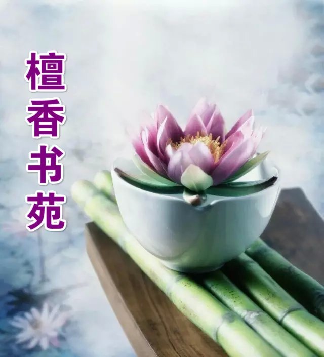 【檀香.某人杯】花殤離別（微型小說 征文）