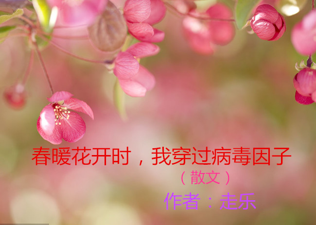 【八一】春暖花開時(shí)，我穿過病毒因子（散文）