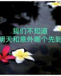 【柳岸】唯恐遺憾瞬然而至（詩(shī)歌/外七首）