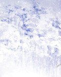 【綠野·雪】飄雪的狂暴不羈（外一首）