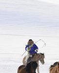 【綠野 雪】我向激情要奮博踏馬飛雪之畫骨畫魂（雜文隨筆）