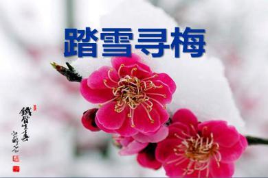 【軍警】落雪，有詩(shī)有襲（詩(shī)歌）