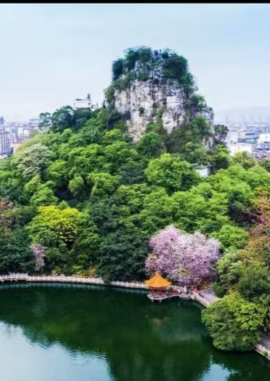 【東籬】登魚峰山去（散文）