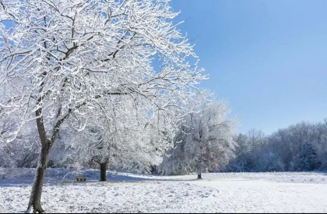 【文璞】驚蟄見(jiàn)春雪  （散文）