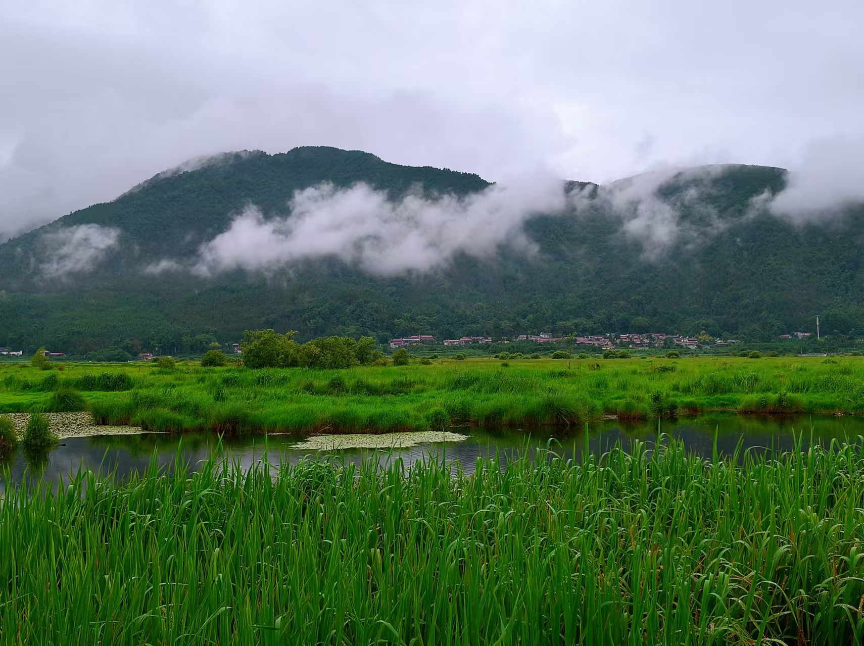 【江山·根與魂】【寧靜】泛舟草海（散文）