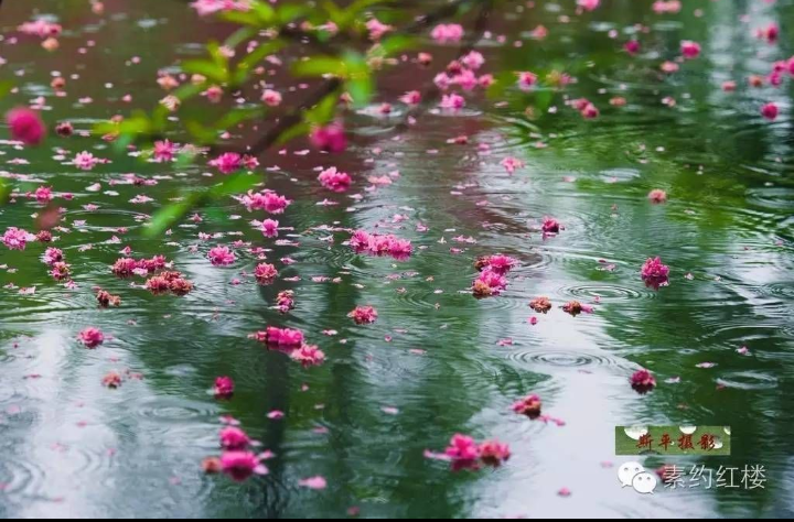 【八一】聽(tīng)雨（散文·家園）