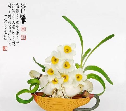 【荷塘】素心一捧，踏浪來（散文）