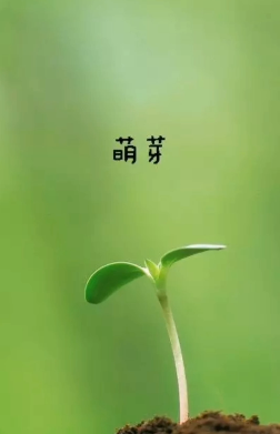 【江山·好聲音】【流年】時光書：萌芽記（散文）